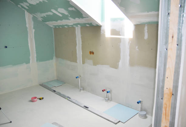 Best Attic Mold Removal  in St Joseph, MN