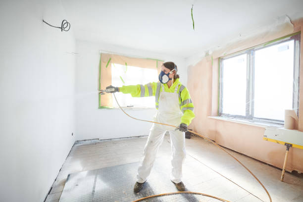 Mold Documentation for Insurance Claims in St Joseph, MN