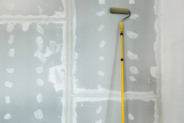 Best Environmental Consulting for Mold Prevention  in St Joseph, MN