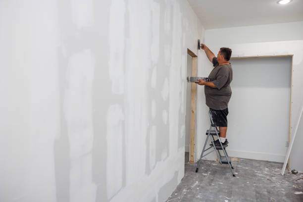 Best Airborne Mold Testing  in St Joseph, MN