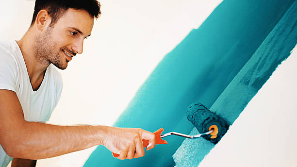 Best Mold Odor Removal Services  in St Joseph, MN