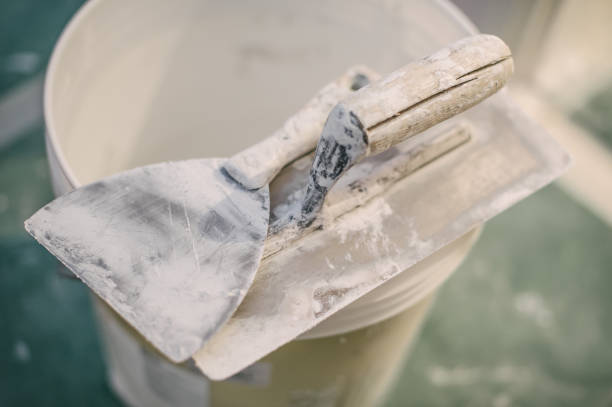 Best Post-Construction Mold Inspection  in St Joseph, MN