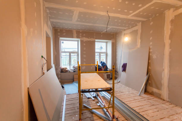 Best Attic Mold Removal  in St Joseph, MN