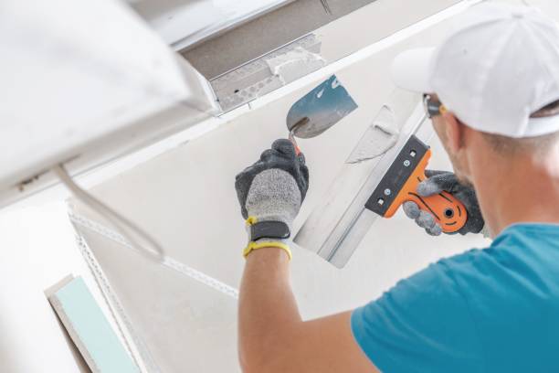 Best Mold Prevention Services  in St Joseph, MN